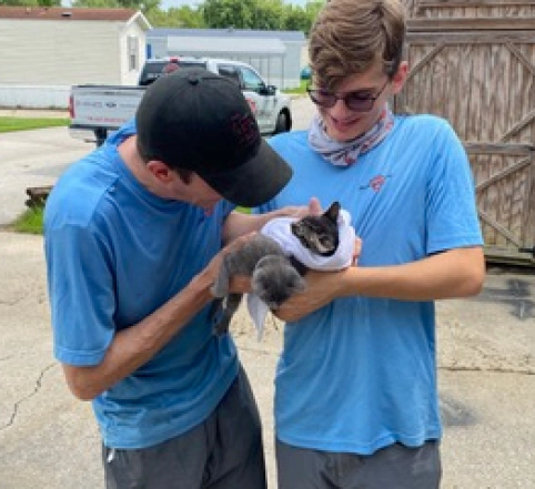 two employees saved a kitten